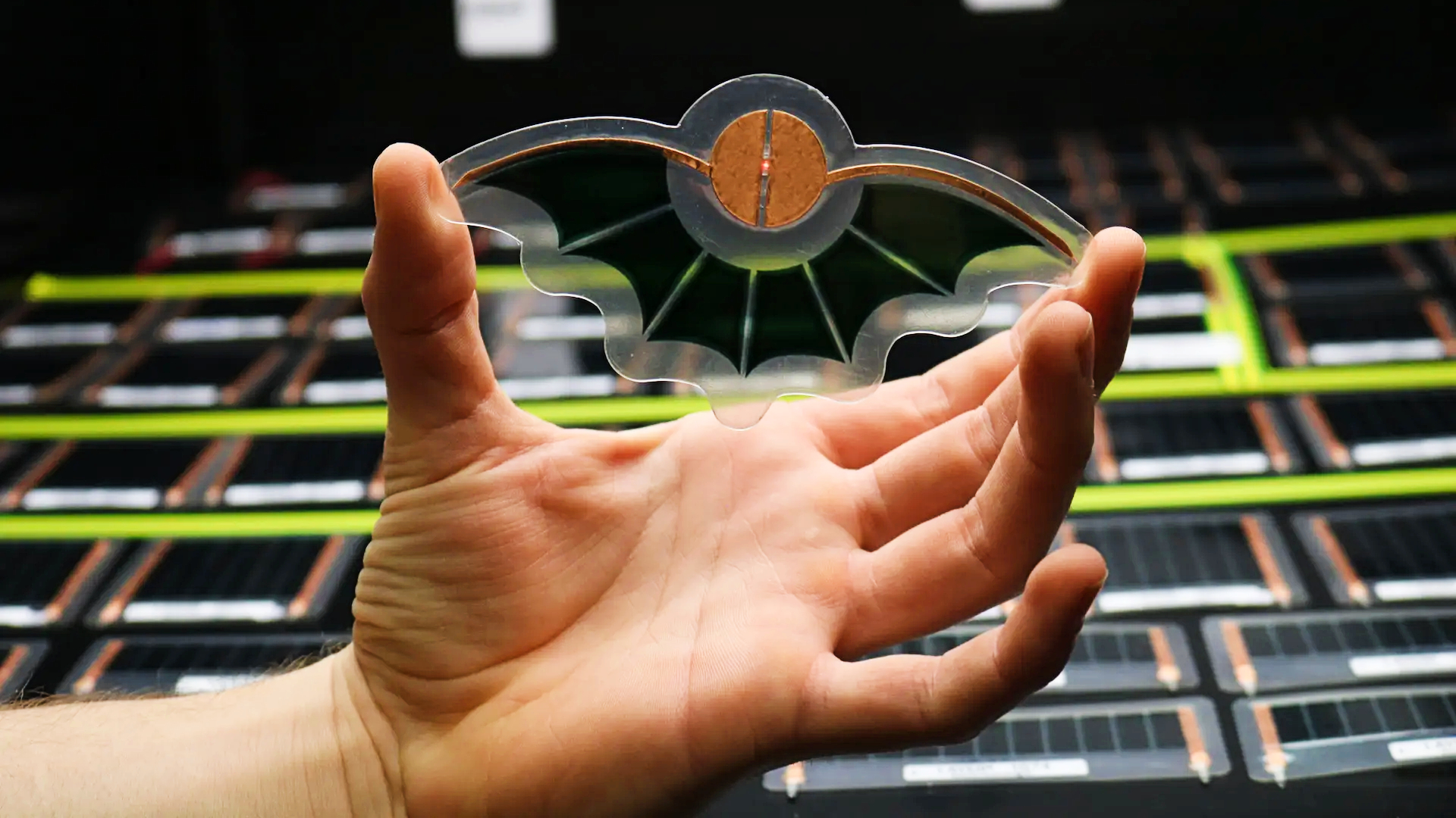 The Essential Guide to Ambient Storage: Safe, Stable, and Cost-Effective Warehousing